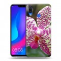 Дизайнерский пластиковый чехол для Huawei Nova 3 Орхидеи