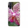 Дизайнерский пластиковый чехол для Huawei Honor 20 Орхидеи
