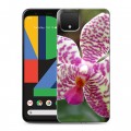 Дизайнерский силиконовый чехол для Google Pixel 4 XL Орхидеи