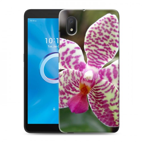Дизайнерский силиконовый чехол для Alcatel 1B (2020) Орхидеи