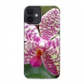 Дизайнерский силиконовый с усиленными углами чехол для Iphone 12 Mini Орхидеи
