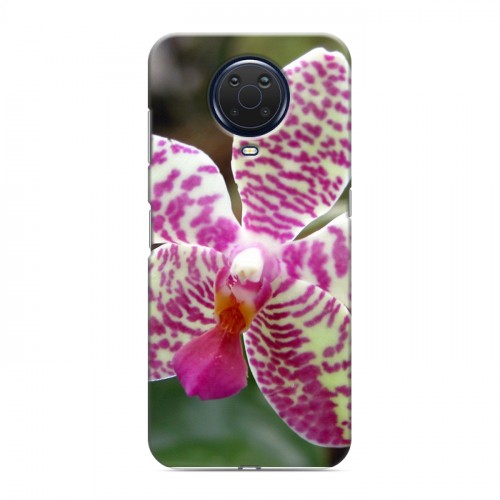 Дизайнерский силиконовый с усиленными углами чехол для Nokia G20 Орхидеи