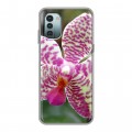 Дизайнерский пластиковый чехол для Nokia G11 Орхидеи