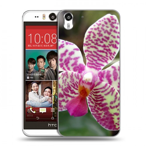 Дизайнерский силиконовый чехол для HTC Desire Eye Орхидеи