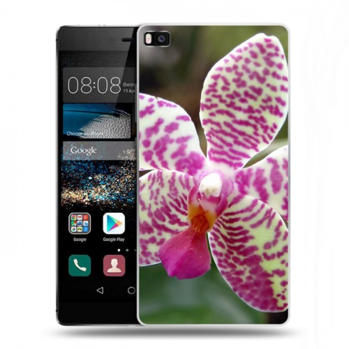 Дизайнерский пластиковый чехол для Huawei P8 Орхидеи