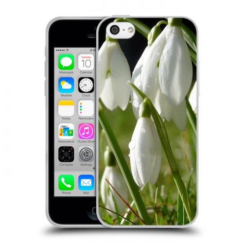 Дизайнерский пластиковый чехол для Iphone 5c Подснежники