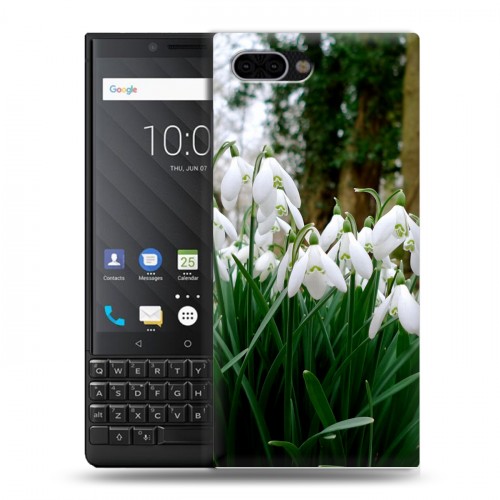 Дизайнерский пластиковый чехол для BlackBerry KEY2 Подснежники