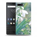 Дизайнерский пластиковый чехол для BlackBerry KEY2 Подснежники