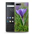 Дизайнерский пластиковый чехол для BlackBerry KEY2 Подснежники