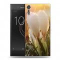 Дизайнерский пластиковый чехол для Sony Xperia XZs Подснежники