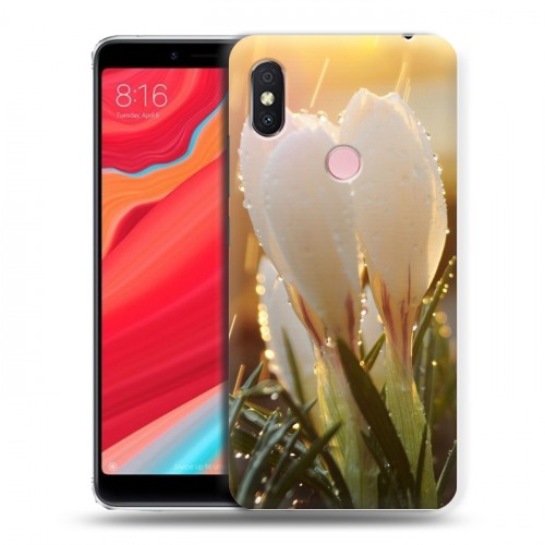 Poco m5s redmi 12s