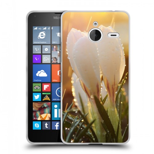 Дизайнерский пластиковый чехол для Microsoft Lumia 640 XL Подснежники