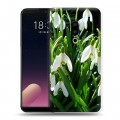 Дизайнерский пластиковый чехол для Meizu 15 Plus Подснежники