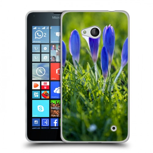 Дизайнерский пластиковый чехол для Microsoft Lumia 640 Подснежники