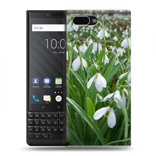 Дизайнерский пластиковый чехол для BlackBerry KEY2 Подснежники