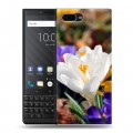 Дизайнерский пластиковый чехол для BlackBerry KEY2 Подснежники