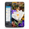 Дизайнерский пластиковый чехол для BlackBerry Z10 Подснежники