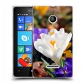 Дизайнерский пластиковый чехол для Microsoft Lumia 435 Подснежники