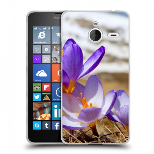 Дизайнерский пластиковый чехол для Microsoft Lumia 640 XL Подснежники