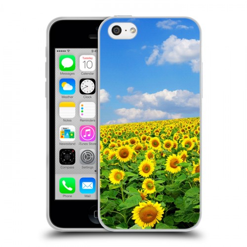 Дизайнерский пластиковый чехол для Iphone 5c Подсолнухи