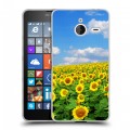 Дизайнерский пластиковый чехол для Microsoft Lumia 640 XL Подсолнухи