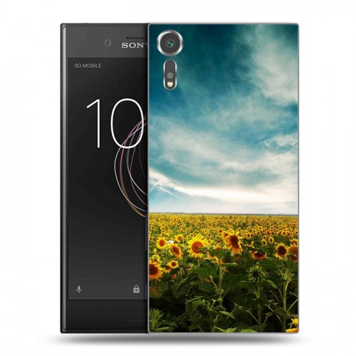 Дизайнерский пластиковый чехол для Sony Xperia XZs Подсолнухи