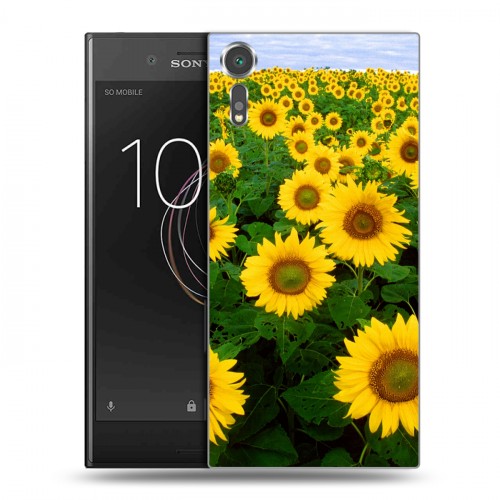 Дизайнерский пластиковый чехол для Sony Xperia XZs Подсолнухи