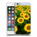 Дизайнерский силиконовый чехол для Iphone 6 Plus/6s Plus Подсолнухи