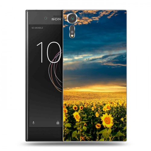 Дизайнерский пластиковый чехол для Sony Xperia XZs Подсолнухи