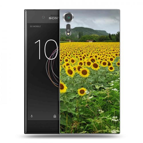 Дизайнерский пластиковый чехол для Sony Xperia XZs Подсолнухи