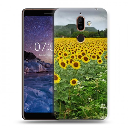 Дизайнерский пластиковый чехол для Nokia 7 Plus Подсолнухи