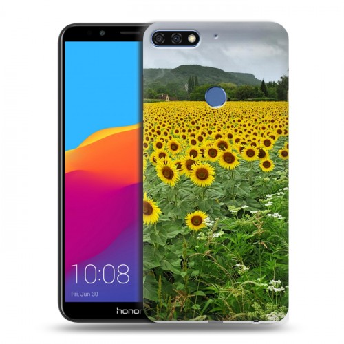 Дизайнерский пластиковый чехол для Huawei Honor 7C Pro Подсолнухи