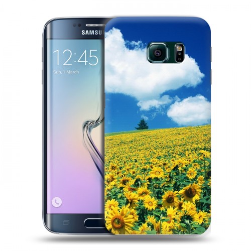 Дизайнерский пластиковый чехол для Samsung Galaxy S6 Edge Подсолнухи