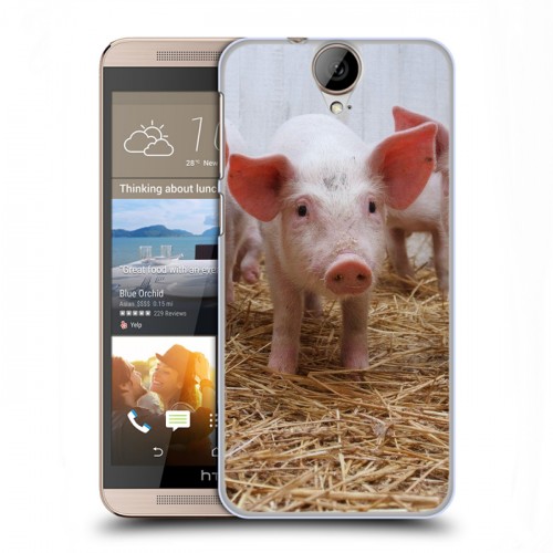 Дизайнерский пластиковый чехол для HTC One E9+ Свинки