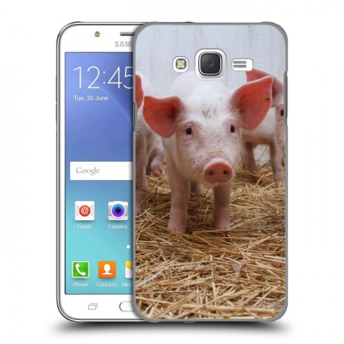 Дизайнерский пластиковый чехол для Samsung Galaxy J5 Свинки