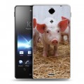 Дизайнерский пластиковый чехол для Sony Xperia TX Свинки