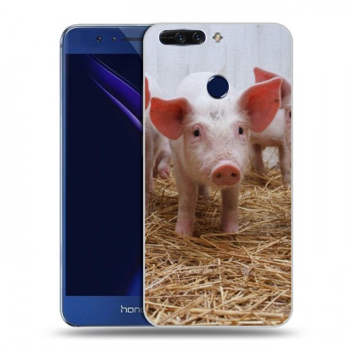 Дизайнерский пластиковый чехол для Huawei Honor 8 Pro Свинки