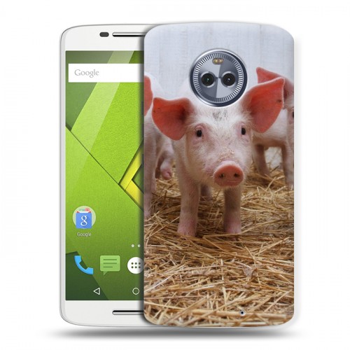 Дизайнерский пластиковый чехол для Motorola Moto X4 Свинки