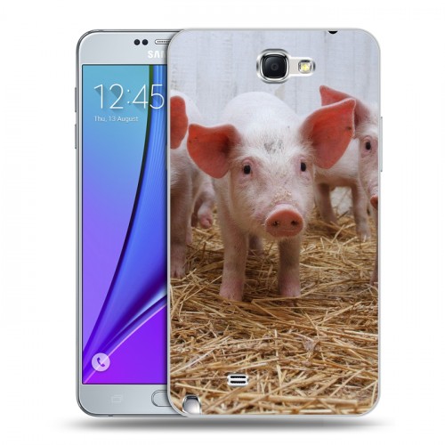 Дизайнерский пластиковый чехол для Samsung Galaxy Note 2 Свинки