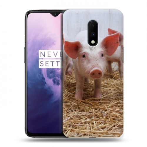 Дизайнерский пластиковый чехол для OnePlus 7 Свинки