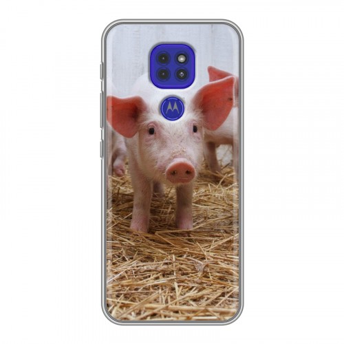 Дизайнерский силиконовый чехол для Motorola Moto G9 Play Свинки