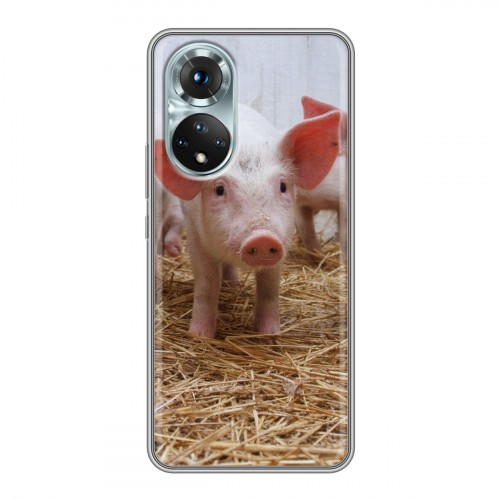 Дизайнерский пластиковый чехол для Huawei Honor 50 Свинки
