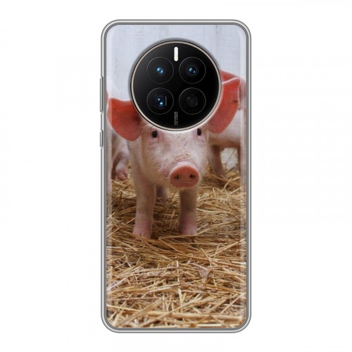 Дизайнерский силиконовый чехол для Huawei Mate 50 Свинки