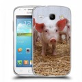 Дизайнерский пластиковый чехол для Samsung Galaxy Core Свинки
