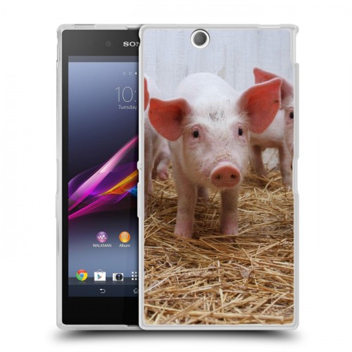 Дизайнерский пластиковый чехол для Sony Xperia Z Ultra  Свинки