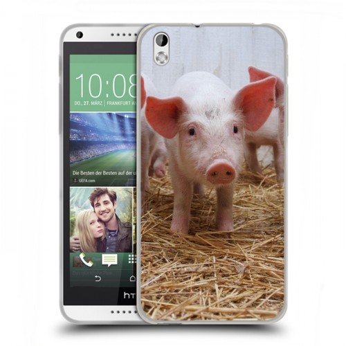 Дизайнерский пластиковый чехол для HTC Desire 816 Свинки