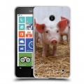 Дизайнерский пластиковый чехол для Nokia Lumia 630/635 Свинки