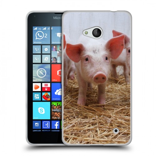 Дизайнерский пластиковый чехол для Microsoft Lumia 640 Свинки