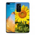 Дизайнерский пластиковый чехол для Huawei P40 Подсолнухи