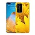 Дизайнерский пластиковый чехол для Huawei P40 Pro Подсолнухи